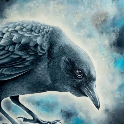 Big Big Train Folklore