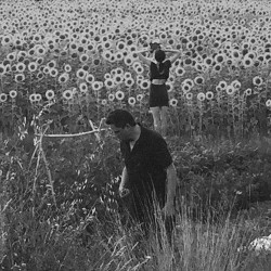 Jesu & Sun Kil Moon Jesu/Sun Kil Moon