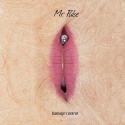 Mr. Pulse Damage Control (EP)