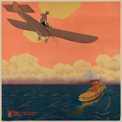 Plants And Animals Waltzed In From The Rumbling