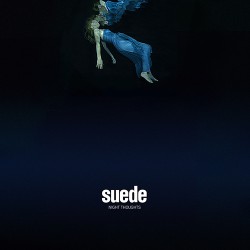Suede Night Thoughts