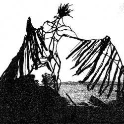 Ulaan Passerine The Great Unwinding