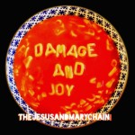 The Jesus And Mary Chain - Damage And Joy