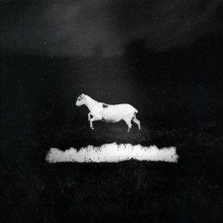 Les Discrets Predateurs