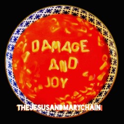 The Jesus And Mary Chain Damage And Joy