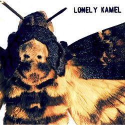 Lonely Kamel Death's-Head Hawkmoth