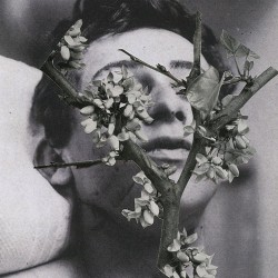 Manes Slow Motion Death Sequence