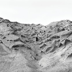 The Steams Wild Ferment