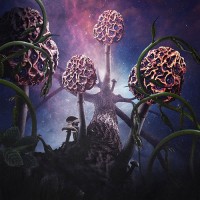 Blut Aus Nord - Hallucinogen