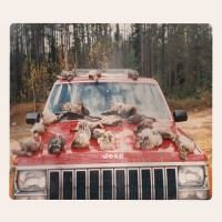 Efrim Manuel Menuck & Kevin Doria - are SING SINCK, SING