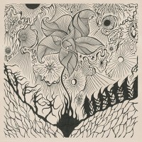 Jordsjo - Nattfiolen