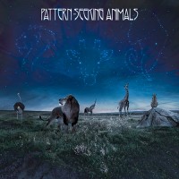Pattern-Seeking Animals - Pattern Seeking Animals