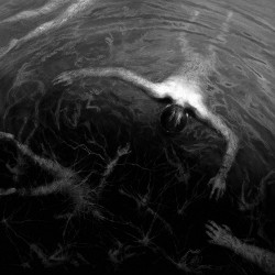 Altarage The Approaching Roar