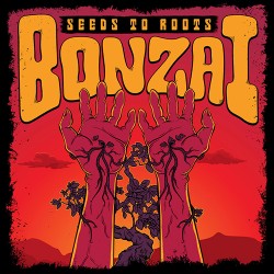 Bonzai Seeds To Roots