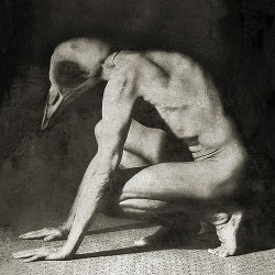 Helium Horse Fly Hollowed