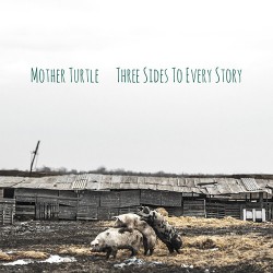 Mother Turtle Three Sides To Every Story