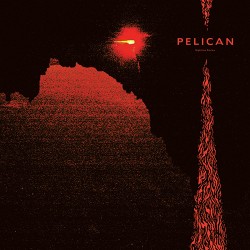 Pelican Nighttime Stories