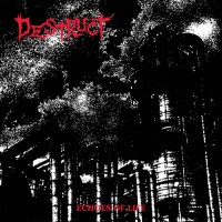 Destruct - Echoes Of Life
