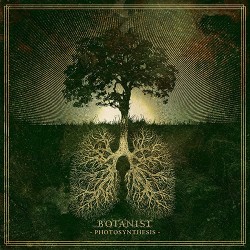 Botanist Photosynthesis