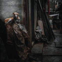 Cremations Dissolution Of Balance