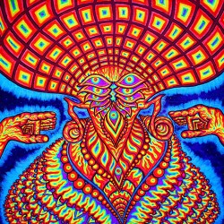 Dream Syndicate The Universe Inside