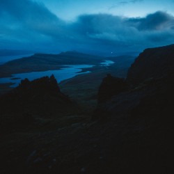 Of The Vine Left Alone