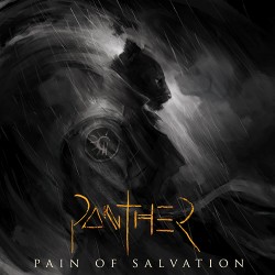 Pain Of Salvation Panther