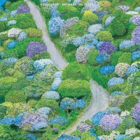 Fiddlehead - Between Τhe Richness