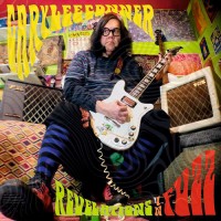 Gary Lee Conner - Revelations In Fuzz