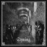 Syning - Syning