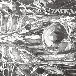 Autarkh Form In Motion