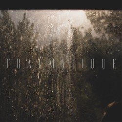 Dead Flag Blues Traumatique