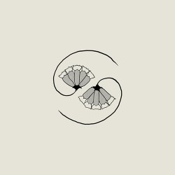 Godspeed You! Black Emperor G_d's Pee AT STATE'S END!