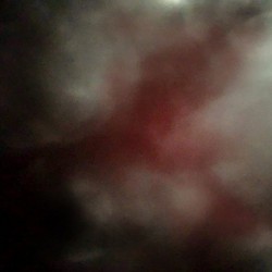 Youth Novel Youth Novel