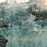 Rigorous Institution - Cainsmarsh