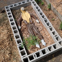 Book Of Sand Seven Candles For An Empty Altar