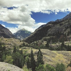 ...But The Shadows Have Foes A Great Variety Of Morbid Symptoms