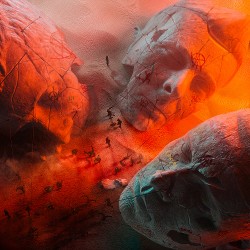 Muse Will Of The People