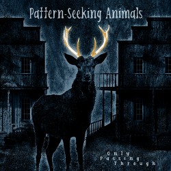 Pattern-Seeking Animals Only Passing Through