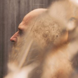 Psychonaut Violate Consensus Reality