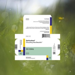 Spiritualized Everything Was Beautiful