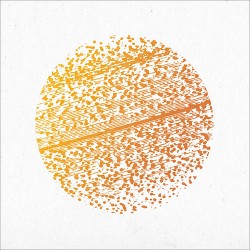 The Gathering Beautiful Distortion