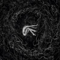 FVNERALS - Let The Earth Be Silent