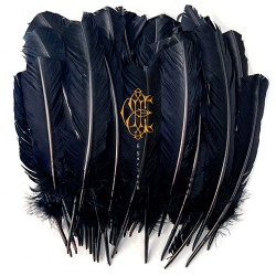 David Eugene Edwards Hyacinth