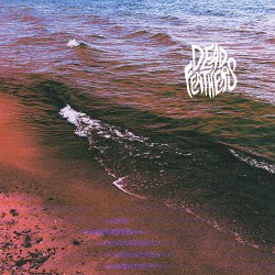 Dead Feathers Full Circle