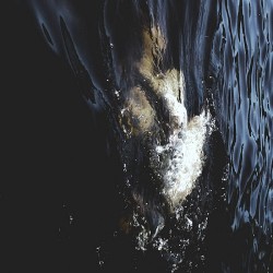 Fawn Limbs & Nadja Vestigial Spectra