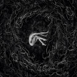 FVNERALS Let The Earth Be Silent