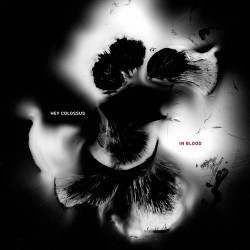 Hey Colossus In Blood