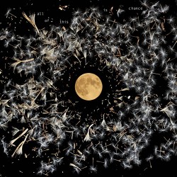 Lisa O' Neil All Of This Is Chance