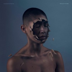 Manchester Orchestra The Valley Of Vision (EP)